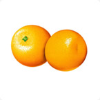 柑橘營養方案
